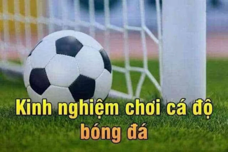 Có rất nhiều biệt danh khác nhau tương tự Cules 