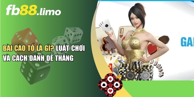 Bài Cào Tố Là Gì? Luật Chơi Và Cách Đánh Dễ Thắng