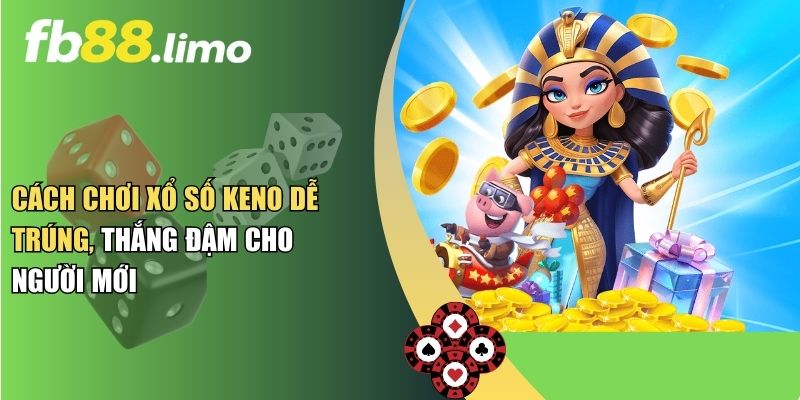 Cách Chơi Xổ Số Keno Dễ Trúng, Thắng Đậm Cho Người Mới